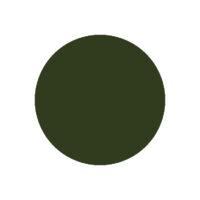 Résine Acrylic & Dip Couleur 100