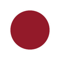 Résine Acrylic & DIP Couleur 119