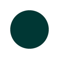 Résine Acrylic & DIP Couleur 133