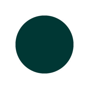 Résine Acrylic & DIP Couleur 133