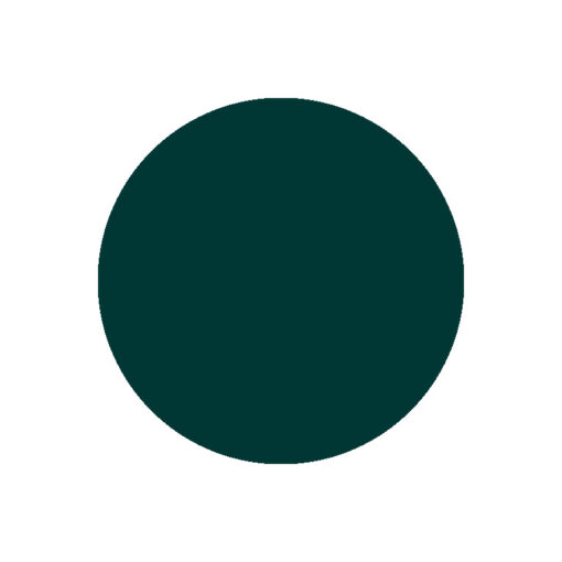 Résine Acrylic & DIP Couleur 133