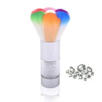 Alternative view of Dépoussirant 7 Couleurs Taille L