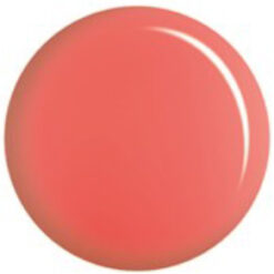 DND DC 178 - Hard Tile