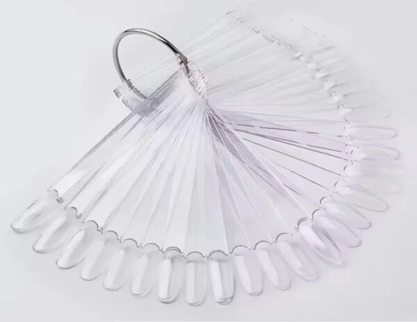 Affichage 50pcs Oval TRANSPARENT