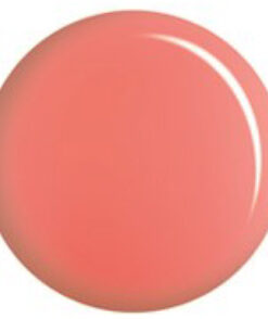 DND DC 164 - dixie dawn