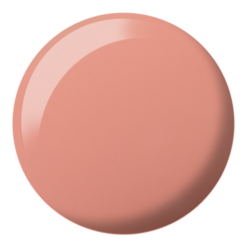 DND DC 2458 - Daquiri