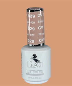 CV029 - Shiny Seashell