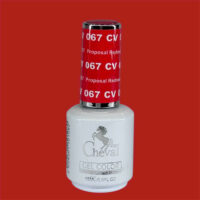 CV067 - Proposal Redness