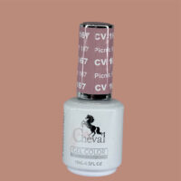 CV167 - Picnic For 2