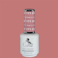 CV171 - Sheer In A City