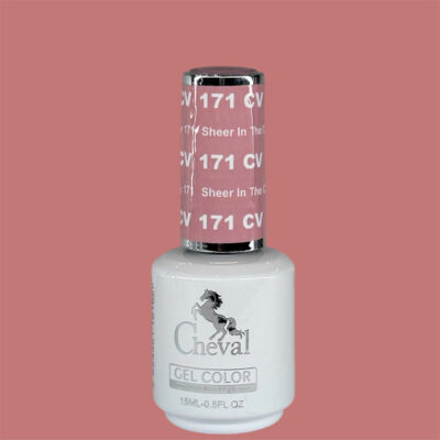 CV171 - Sheer In A City