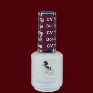 CV196 - Boston University