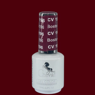 CV196 - Boston University