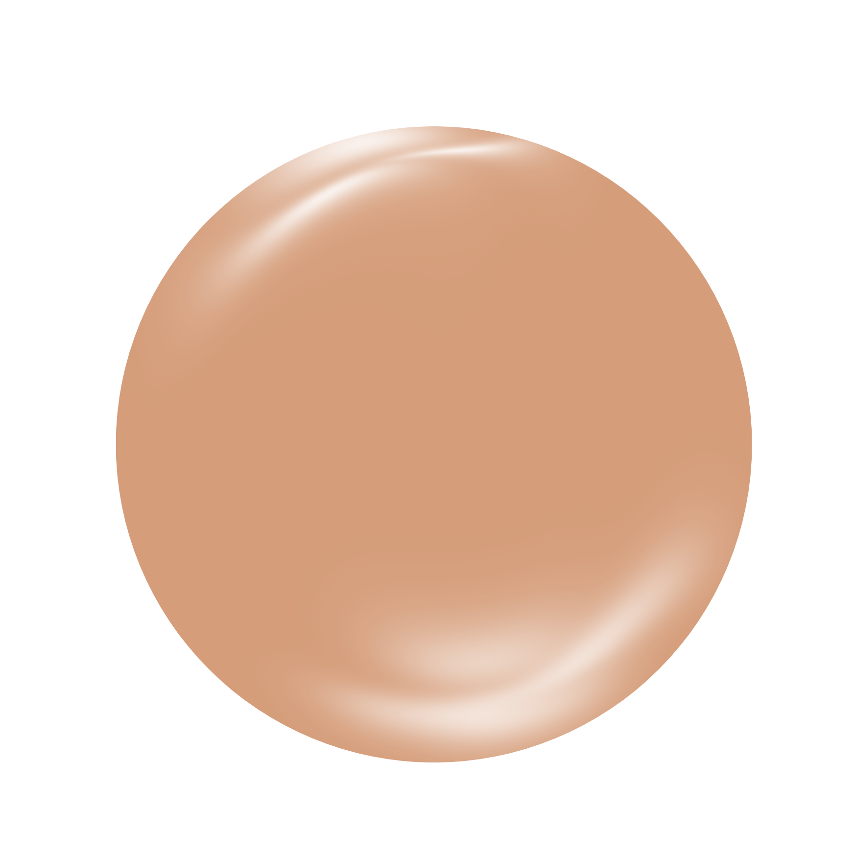 CV029 - Shiny Seashell – Image 2