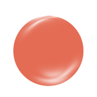 Alternative view of CV036 - Salmon