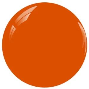 Alternative view of DND 277 - Pumpkin Patch
